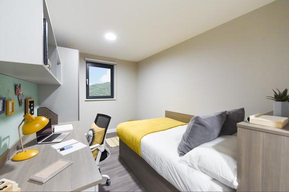 1 bedroom student apartment in City Centre, Swansea