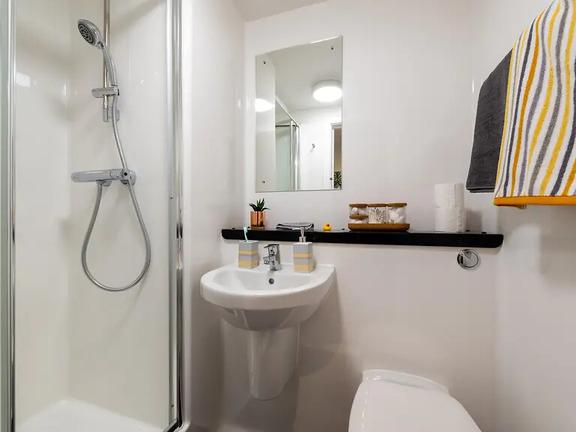 8 bedroom student apartment in Town Centre, Falmouth