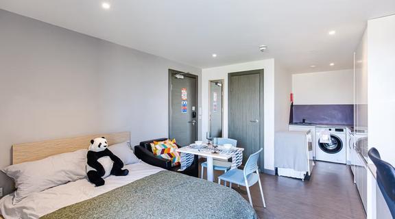 1 bedroom student apartment in City Centre, Sheffield