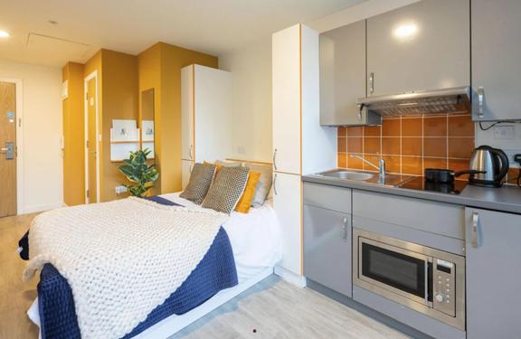 1 bedroom student apartment in City Centre, Sheffield