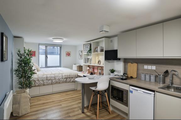 1 bedroom student apartment in Clifton, Bristol