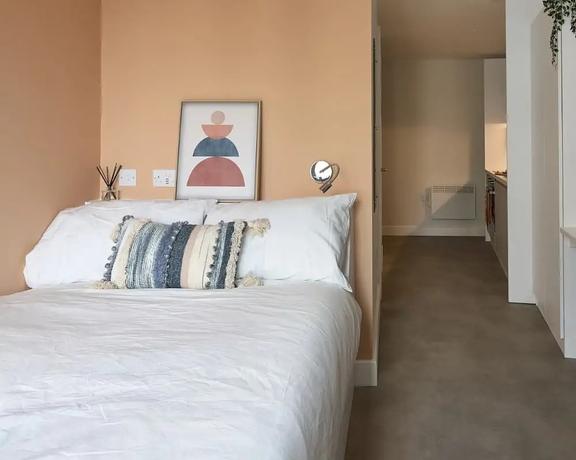 1 bedroom student apartment in Bermondsey, London