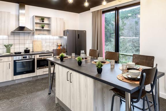 1 bedroom student apartment in City Centre, Swansea