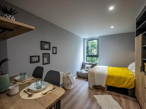 1 bedroom student apartment in City Centre, Sheffield