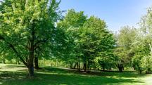 A Guide to the Best Parks and Green Spaces in Coventry