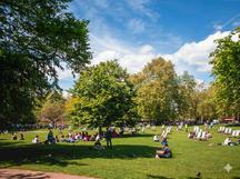 An Unofficial Ranking of the Best Parks in London for Students