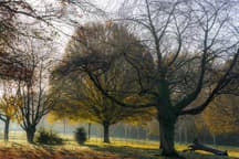 The Birmingham Student Guide: Selly Oak