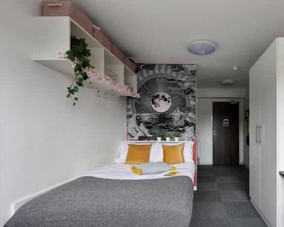 1 bedroom student apartment in Mutley Plain, Plymouth