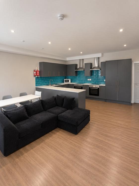 8 bedroom student apartment in Brynmill, Swansea