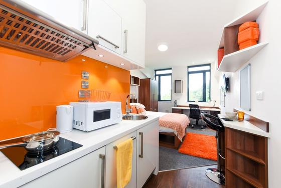 1 bedroom student apartment in Gilesgate, Durham