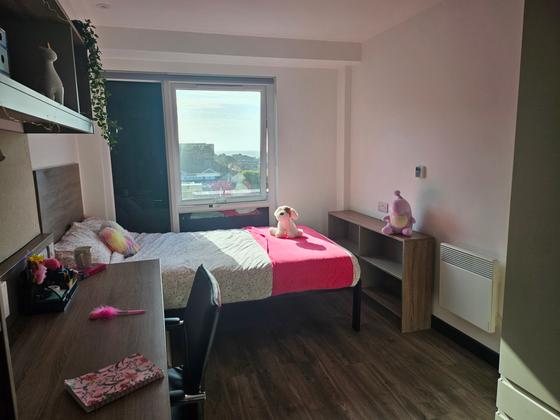 1 bedroom student apartment in City Centre, Swansea