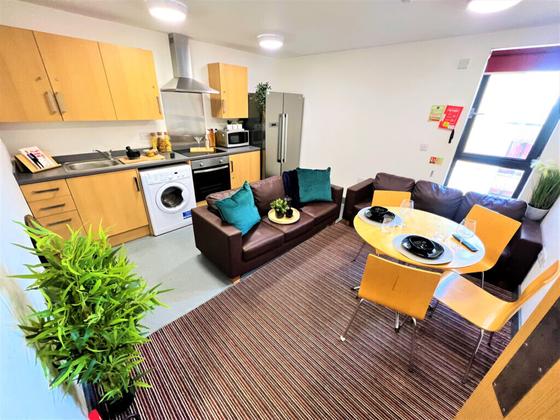 1 bedroom student apartment in City Centre, Sunderland