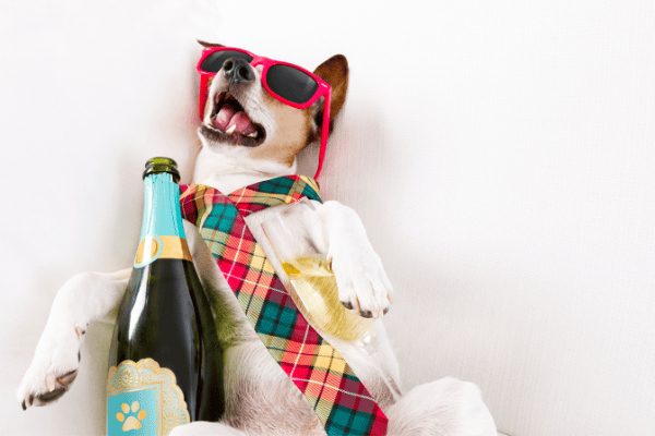 The Best Hangover Cures For Students (That Actually Work)