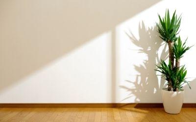 How to Decorate Your Uni Room on a Budget | UniHomes X Missguided