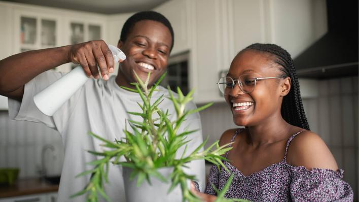 How to Look After Your Houseplants at Uni