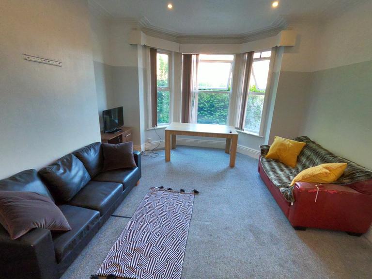 Delph Lane, Woodhouse, Leeds, LS6 2HQ