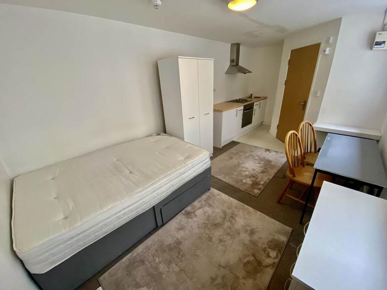 The Kingsway, City Centre, Brynmill, Swansea, SA1 5LF