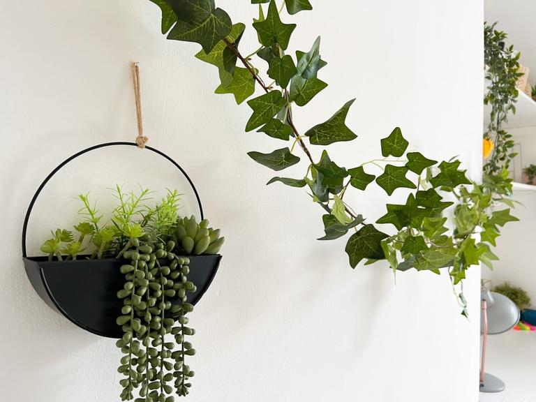 Glynrhondda Street, Cathays, Cardiff, CF24 4AN