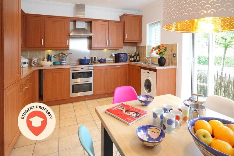 Jekyll Close, Sandyford, Newcastle, BS16 1UX